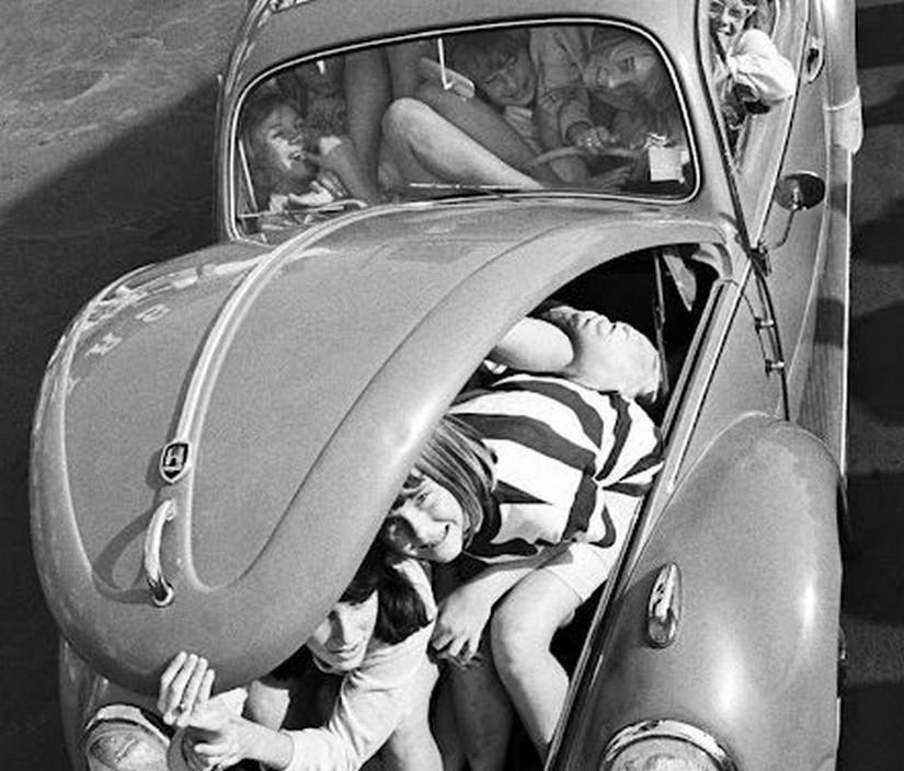   Volkswagen Beetle, 1964 .