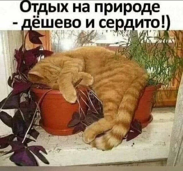   - 18  2024  13:29