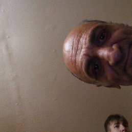 , 54, 
