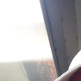 ����, ��������, 41 ���