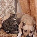 ���� �����, ���������� - ��������� 3 ������� 2025 � ������ ��������