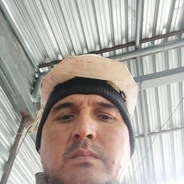 , 29, 