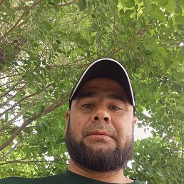 , 34, 