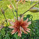 ���� ������, �����-���������, 62 ���� - ��������� 25 �������� 2025 � ������ �������