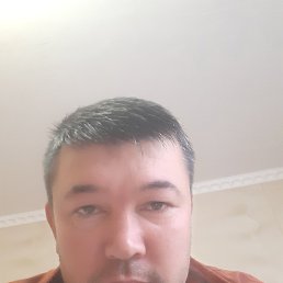 , 34 , 