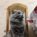 ���� Mikhail, �����-��������� - ��������� 12 ������ 2025 � ������ ������ ��������