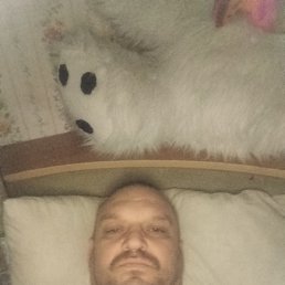 , 44, 
