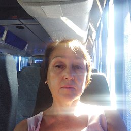 , 66, 