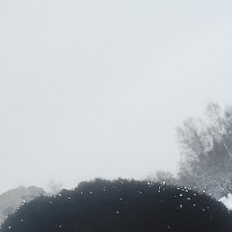 �������, ������, 54 ����