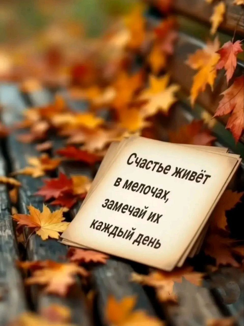Нелек - 3 октября 2025 в 06:55