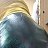 ���� ������ Kiska, ���������, 18 ��� - ��������� 12 ������� 2025