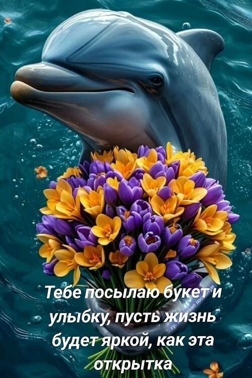 Всё будет хорошо! - 24 октября 2025 в 11:27