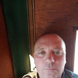 �����, 39 ���, �����������