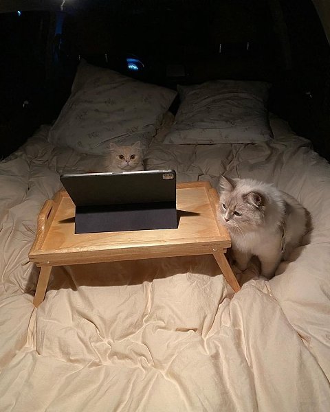    : - 3