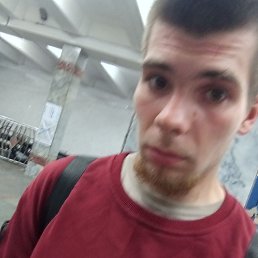, 29, 