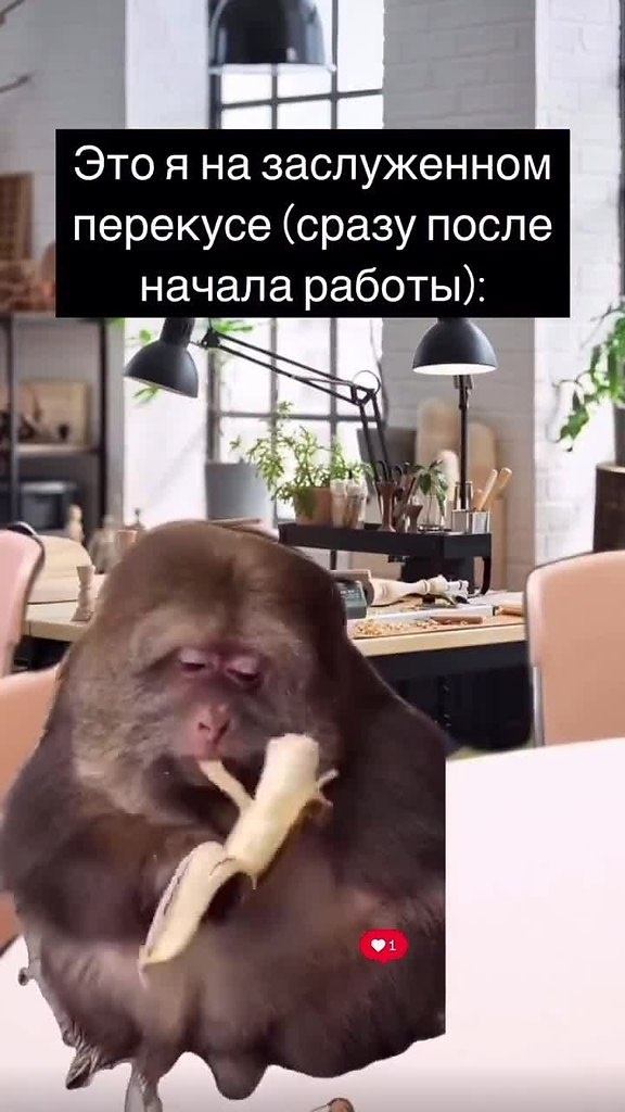 pa - a e ocoa.  