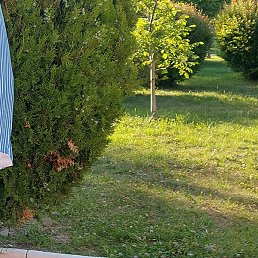 ���������, �������, 57 ���