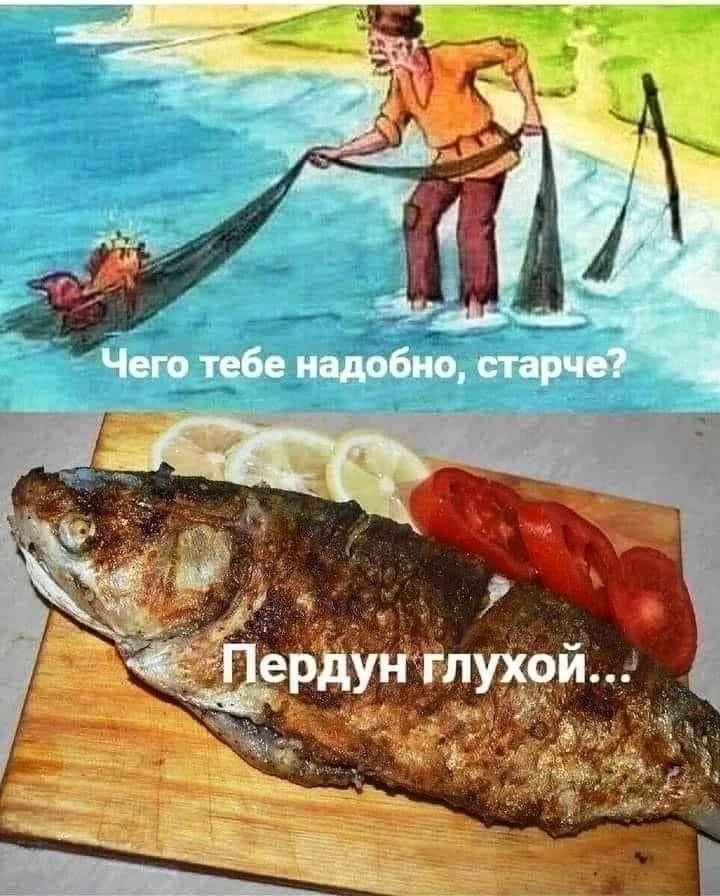  - 30  2024  14:03