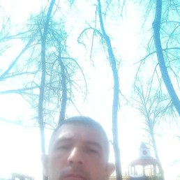 ���������, ������������, 43 ����