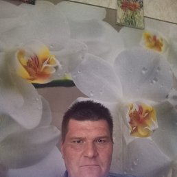 , 41, 