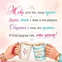 ���� �����, �������, 48 ��� - ��������� 24 ���� 2026