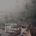 ���� Irinka, �������������� - ��������� 2 ������� 2024 � ������ ������ ��������