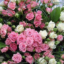 �������, ������, 49 ���