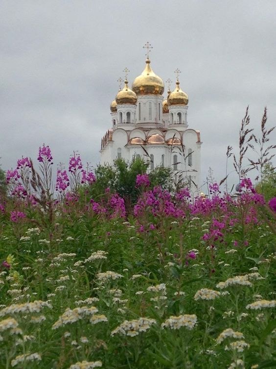  :   , , .:    .  ...