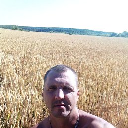 , 43, 