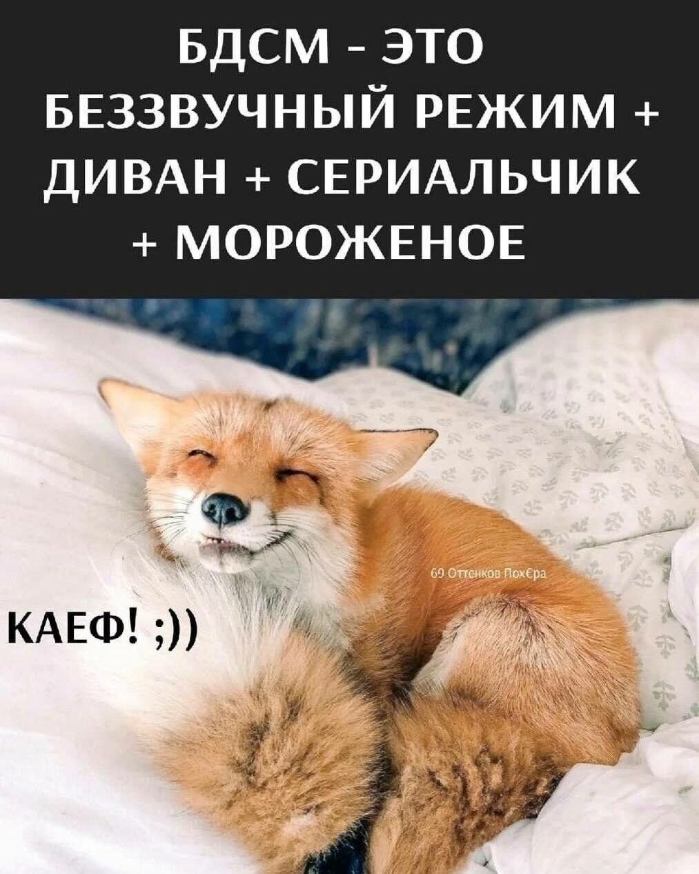 ***Victoria Viktorovna*** - 15  2025  16:26