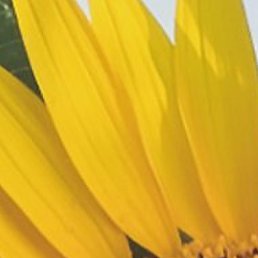 �������, ������, 32 ����