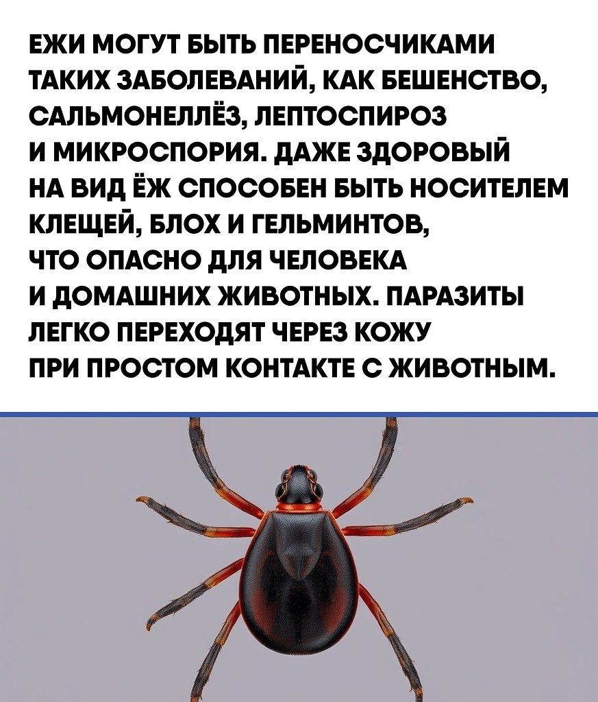  |  |   5 - 12  2025  16:13 - 2