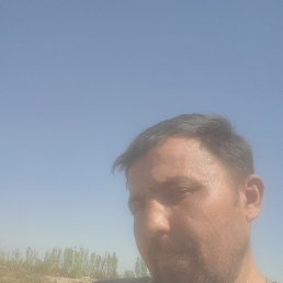 ����, �������, 44 ����