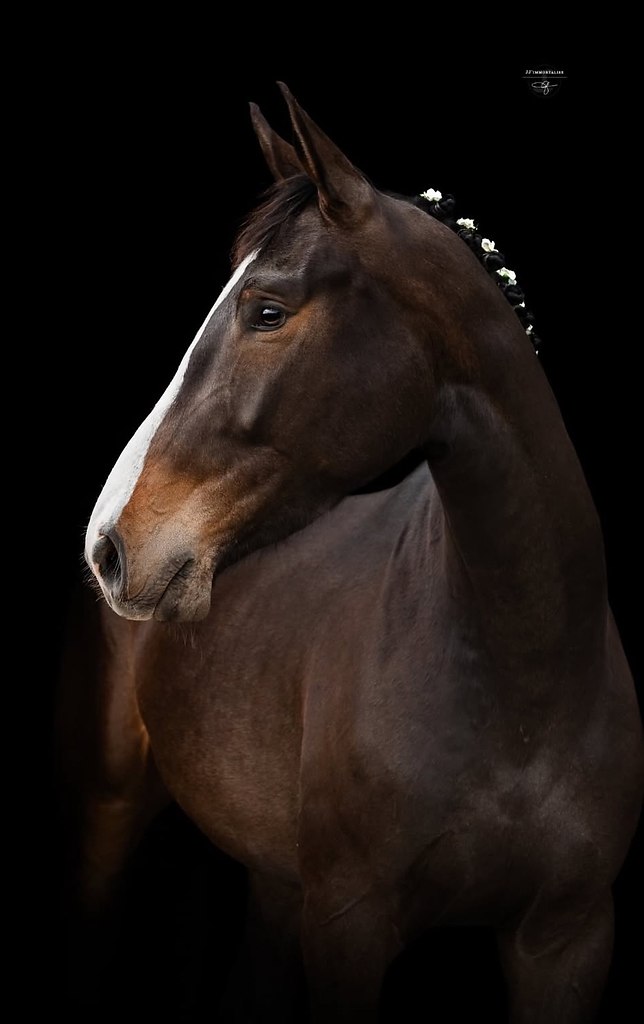  -   ! - 18  2025  10:53