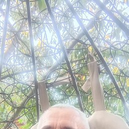 ��������, ������, 68 ���