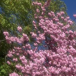 ��������, ������, 48 ���