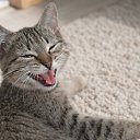 ���� .*$%@&pound;&yen;&times;+&euro;, ��������, 47 ��� - ��������� 17 ������� 2026