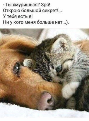 ������������� ���� - 16 ������� 2025 � 14:32