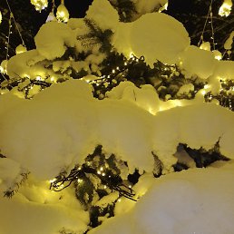 Natalia, ���������