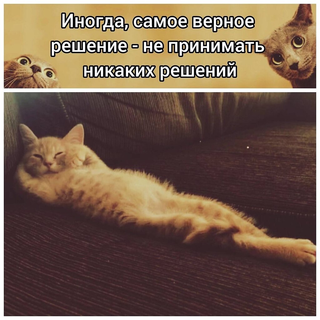   - 11  2025  19:47