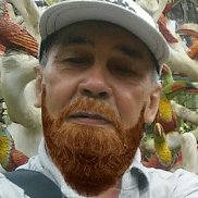 ���������, 81 ���, ���������