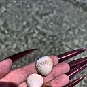 ���� �������, ������, 21 ��� - ��������� 4 ������� 2025 � ������ ������ ��������