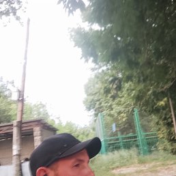 , 37, 