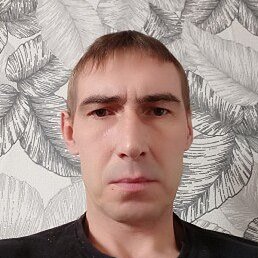 ���������, ������, 40 ���