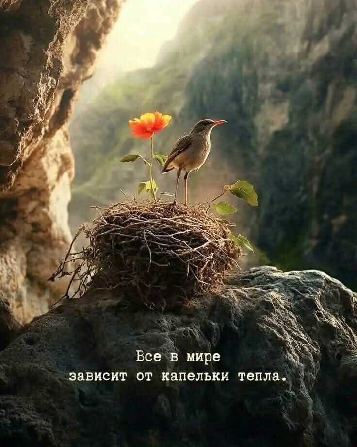 :)
