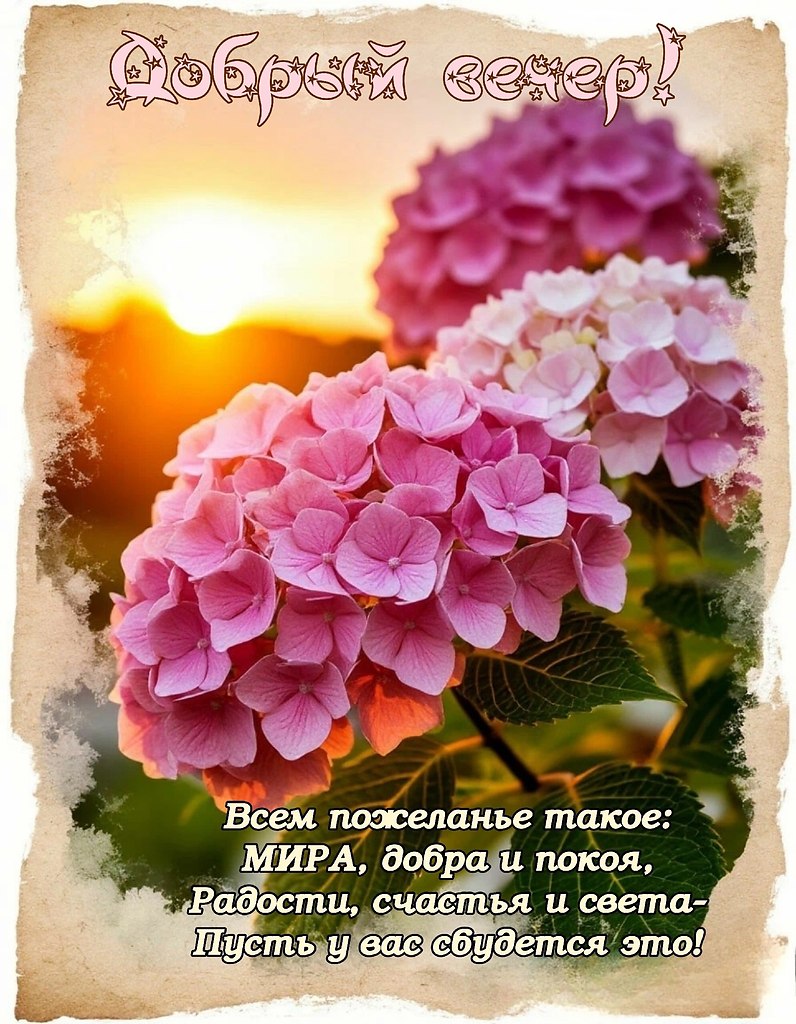   - 6  2025  18:35