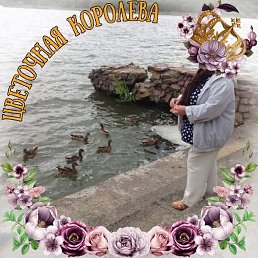 ����, ��������