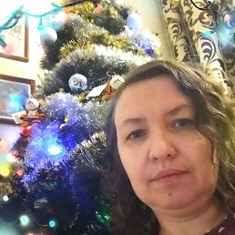 ���� �����, �����, 53 ���� - ��������� 24 ����� 2024