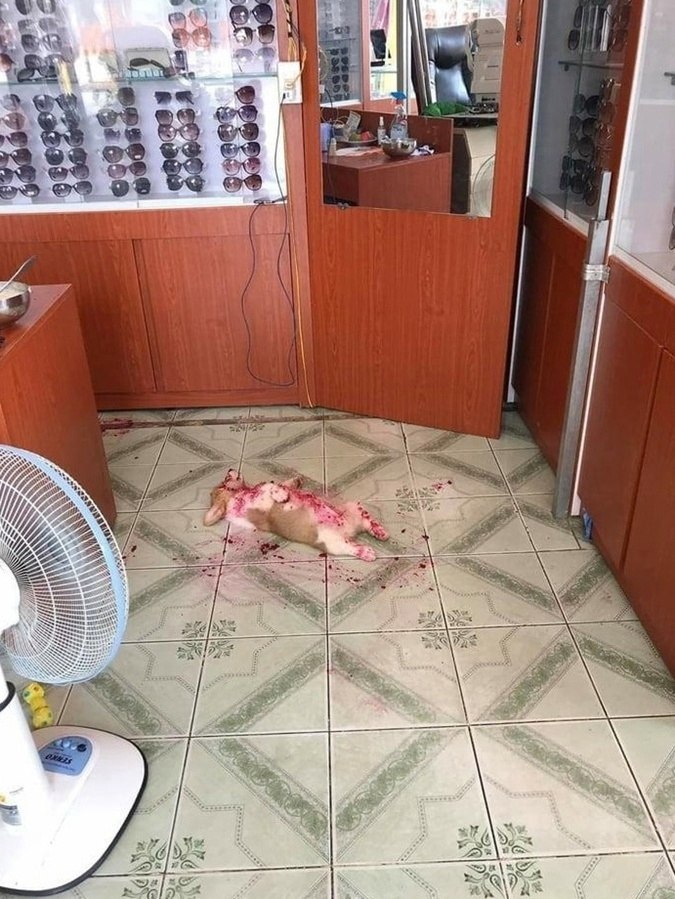  ,      ... 