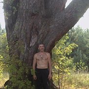 ������, 65 ���, ������